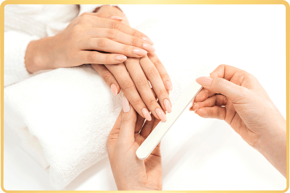 obrázek ze stránky Hlavní stránka